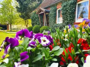 Am Alten Haus