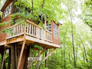 The Cottage Treehouses