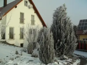 Ferienwohnung Belisa