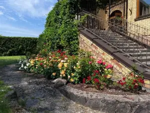 Spacious Rooms in Peaceful Jelgava Area