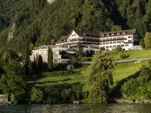 菲茨瑙阿爾卑斯植被湖泊與研討會飯店