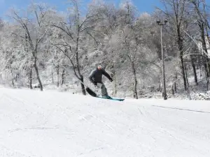 Seven Springs Stoneridge 4 Bedroom Standard Condo, Ski-in Out! Condo