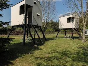 Camp Dzban