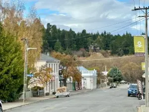 Leven Street Crib