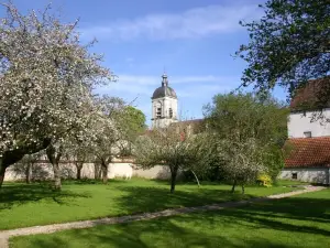 Grand Burgundian stone house in quiet village, 5 bedrooms, beautiful garden
