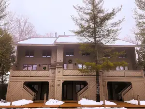 Southridge #9 - Ski-in/ski-out at base of Nub's Nob - Sleeps 6