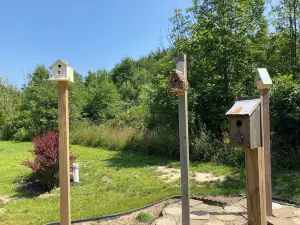 เบดแอนด์เบรคฟาสต์กล็นน์เมโดว์