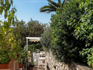 Hotel Senaria