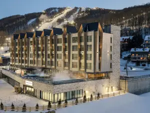Residence Inn by Marriott Bromont