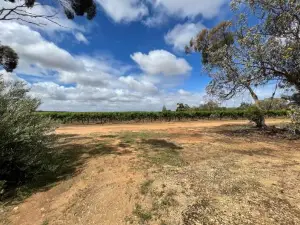 Self Contained Cabin