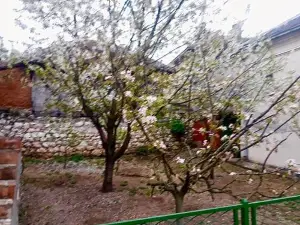 Apartman STOJANOVIĆ