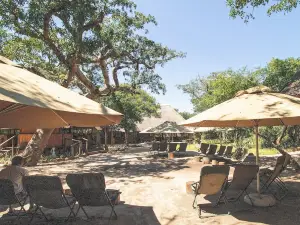 Tembe Elephant Park