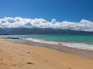 Unit 3 Maui Ohana Modern Studio