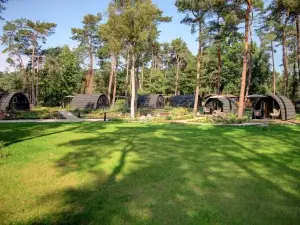 Kampina Staete