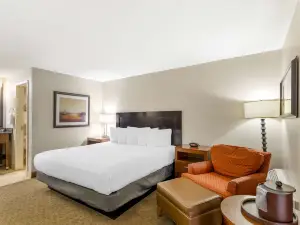 Best Western CottonTree Inn