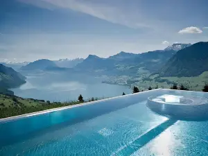 Hotel Villa Honegg