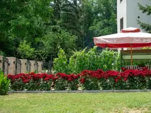 Apartmani "Vila Jelena" Arandjelovac