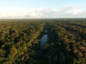 Amazon Jungle Expeditions Lodge