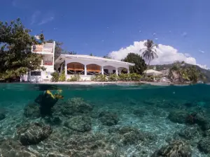 Sogod Bay Scuba Resort