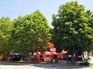 Apartma Vrba