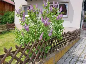 Sehr Beliebt! Ferienhaus Zur Donau