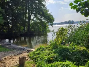 Häuschen am Waldrand
