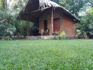 Private Organic House