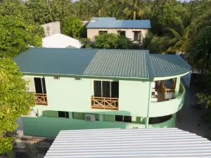 Turtle Maldives - Your Gateway to the Beach & Marine Adventures Await!