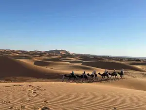Overnight Camp Merzouga & Camel Tours