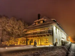 Hotel Singer
