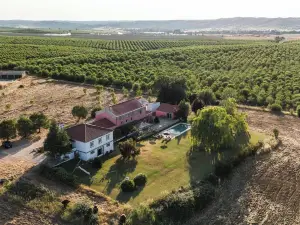 Casa Das Jardas