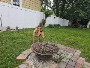 Cozy home with fenced in yard-Dog Friendly . 2 block walk to historic downtown!