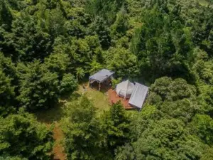 Wild Forest Estate