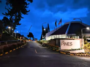 The Pines