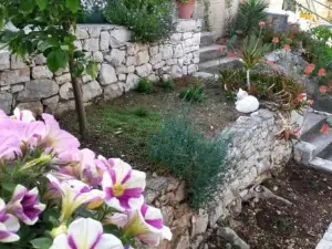 Mljet 2 You - Seafront Apartment 2+2