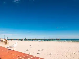 Glenelg Central Studio Aqua