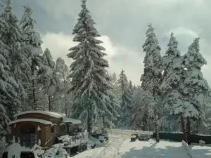 Chalet Grenouille Domaine de la Mamounette