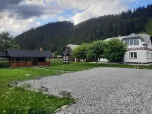 Casa Dumitru si Elena Ciocanesti Bucovina