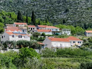 Guesthouse Moretic