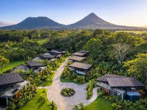 Noah's Forest Hotel by Tifakara