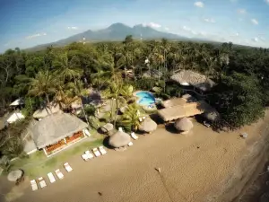 Pura Vida Beach & Dive Resort