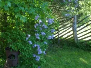 Viruna Farm