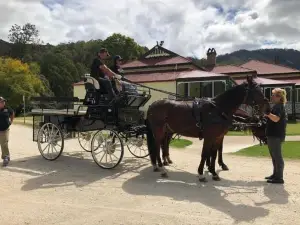 Canungra Valley Cottage