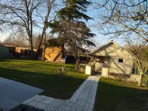 Appartement Cosy + accès Jardin et Salle de Muscu