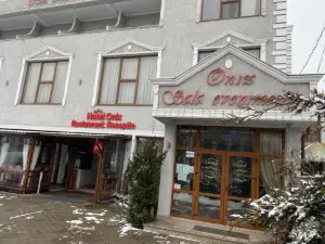 Hotel Onix