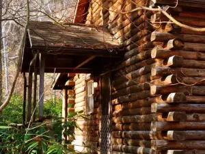 Cheat River Lodge and Cabins