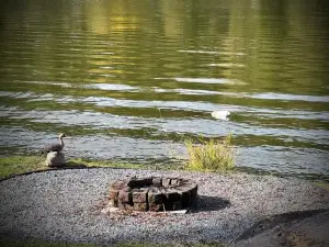 Ohop Lake Escape