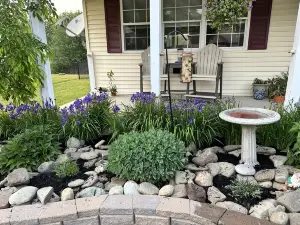 Outdoor Oasis Entire Home
