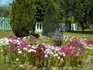 La Colline Aux Fustes