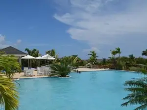 Ocho Rios Ocean View Villa at the Palms